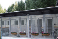 Cattery