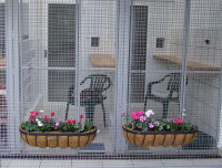 Cattery